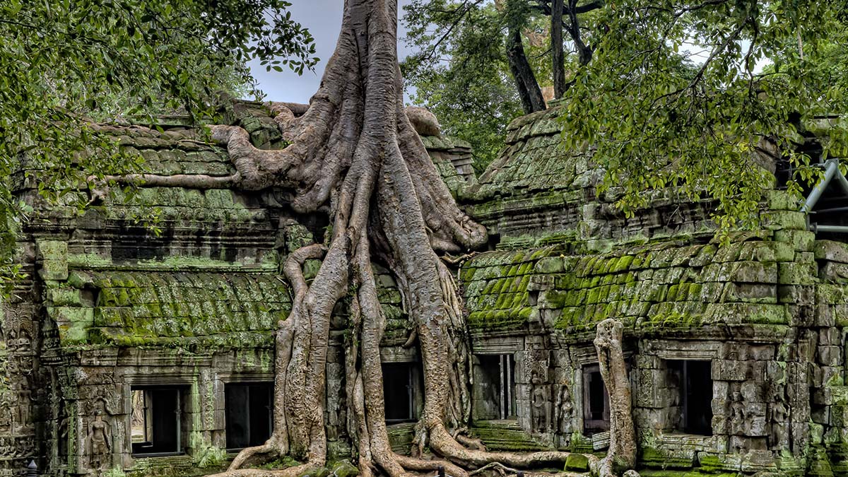 Ta Prohm ruins