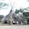 Bangkok to Angkor Wat and back 5d4n tour