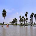 Cambodia in the flood Oct 2013