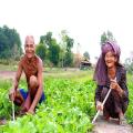 Peaceful life - long life loved