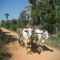 Cambodia Travel Trails