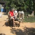 Cambodia Travel Trails