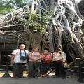Cambodia Travel Trails