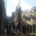 Cambodia Travel Trails