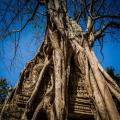 Cambodia Travel Trails
