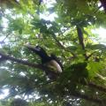 Cambodia Travel Trails