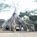 Bangkok to Angkor Wat and back 6d5n tour