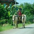 Cambodia Travel Trails