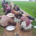 Cambodia Travel Trails