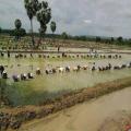 Cambodia Travel Trails