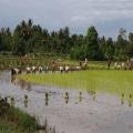 Cambodia Travel Trails