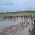 Cambodia Travel Trails