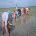 Cambodia Travel Trails