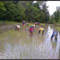 Cambodia Travel Trails