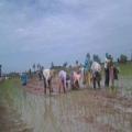 Cambodia Travel Trails