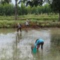 Cambodia Travel Trails