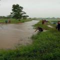 Cambodia Travel Trails