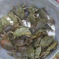 Cambodia Travel Trails